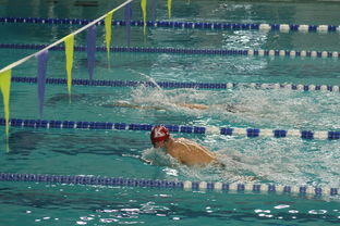 ac米兰中文官网-世界青少年游泳接力锦标赛中国队强势出击，世界游泳锦标赛接力决赛