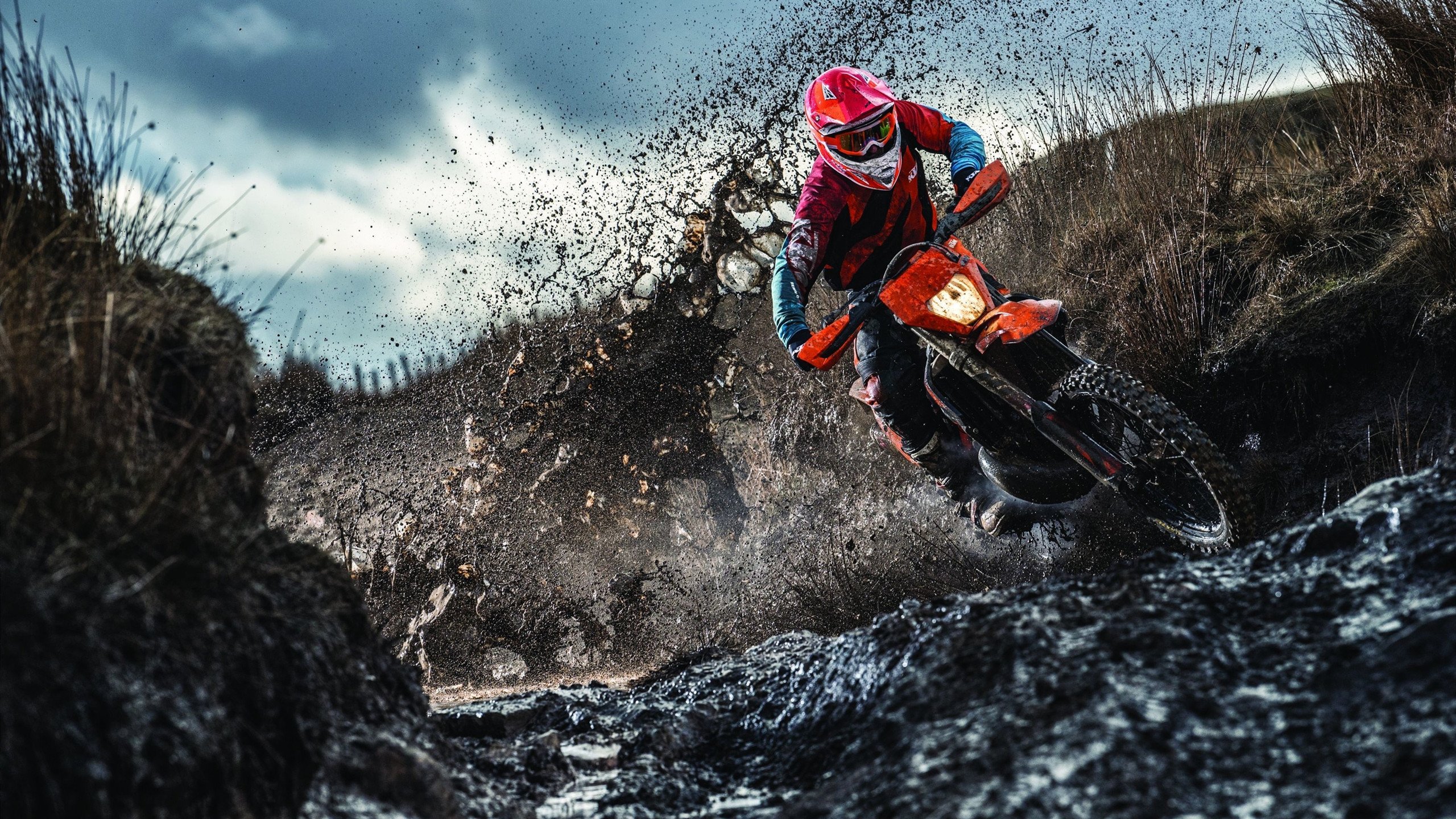 体坛最具影响力运动员榜单